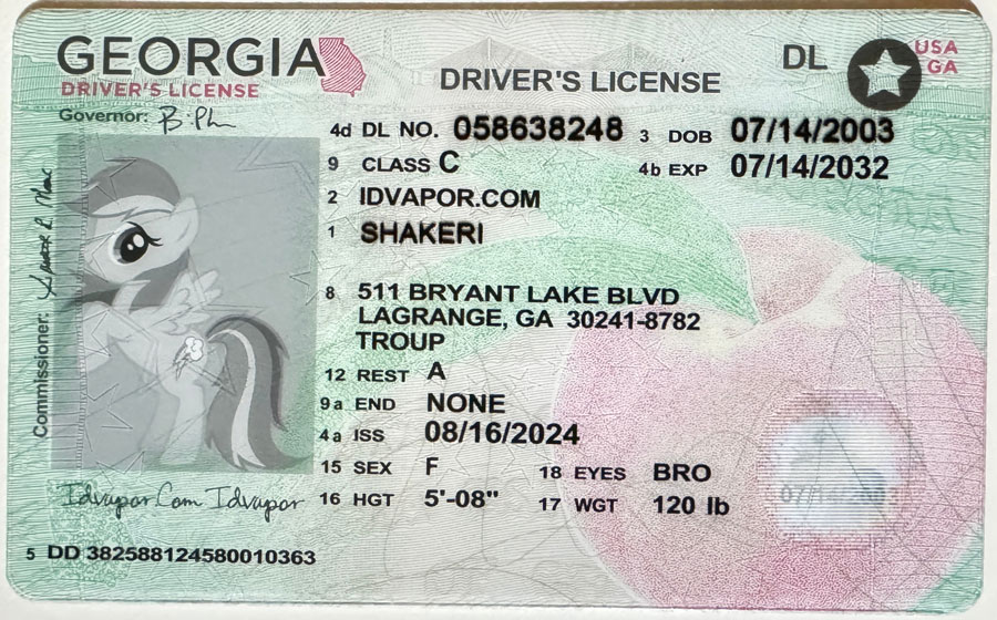 Georgia Fake ID