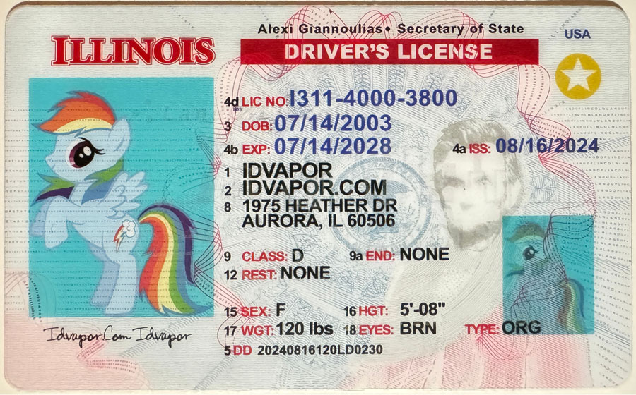 Illinois Fake ID